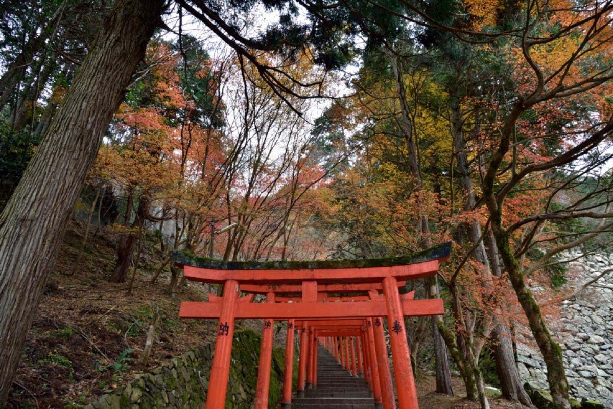 ⛩️ 이즈시 신사 이미지 7